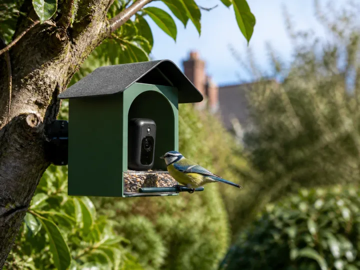 A smart bird feeder camera mounted in a leafy garden with a blue tit perched at the seed tray.